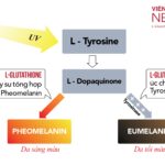 Sức Hút Neuglow Glutathione – Xu Hướng Làm Đẹp Của Ngôi Sao